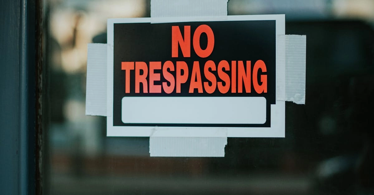 Правовые аспекты игровой деятельности и защита прав участников